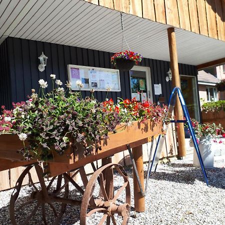 Bollingso Camping Engesvang Экстерьер фото