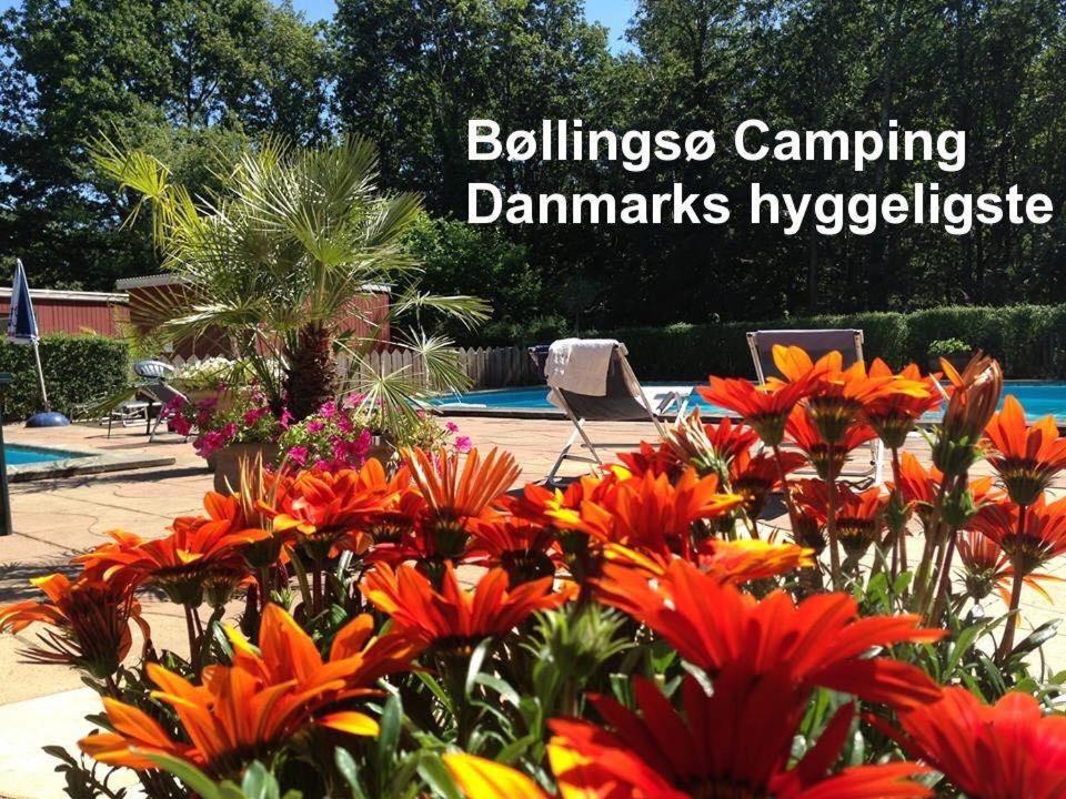 Bollingso Camping Engesvang Экстерьер фото